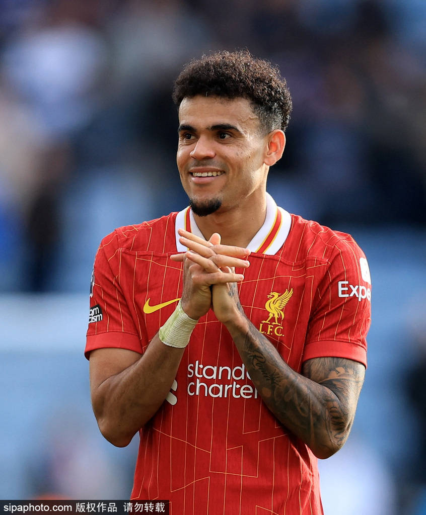 他们的缺席 他们的缺席