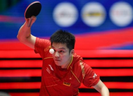 专业技能跻 专业技能跻